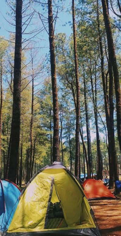 Tapian Ratu Camp Real Bukittinggi Kültér fotó